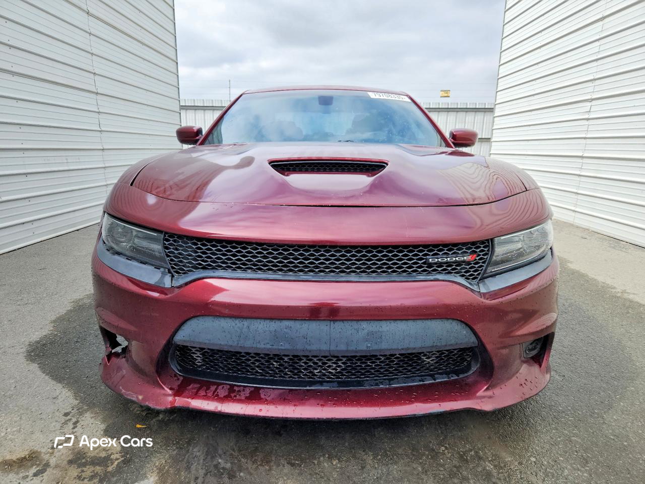 Dodge Charger 2019