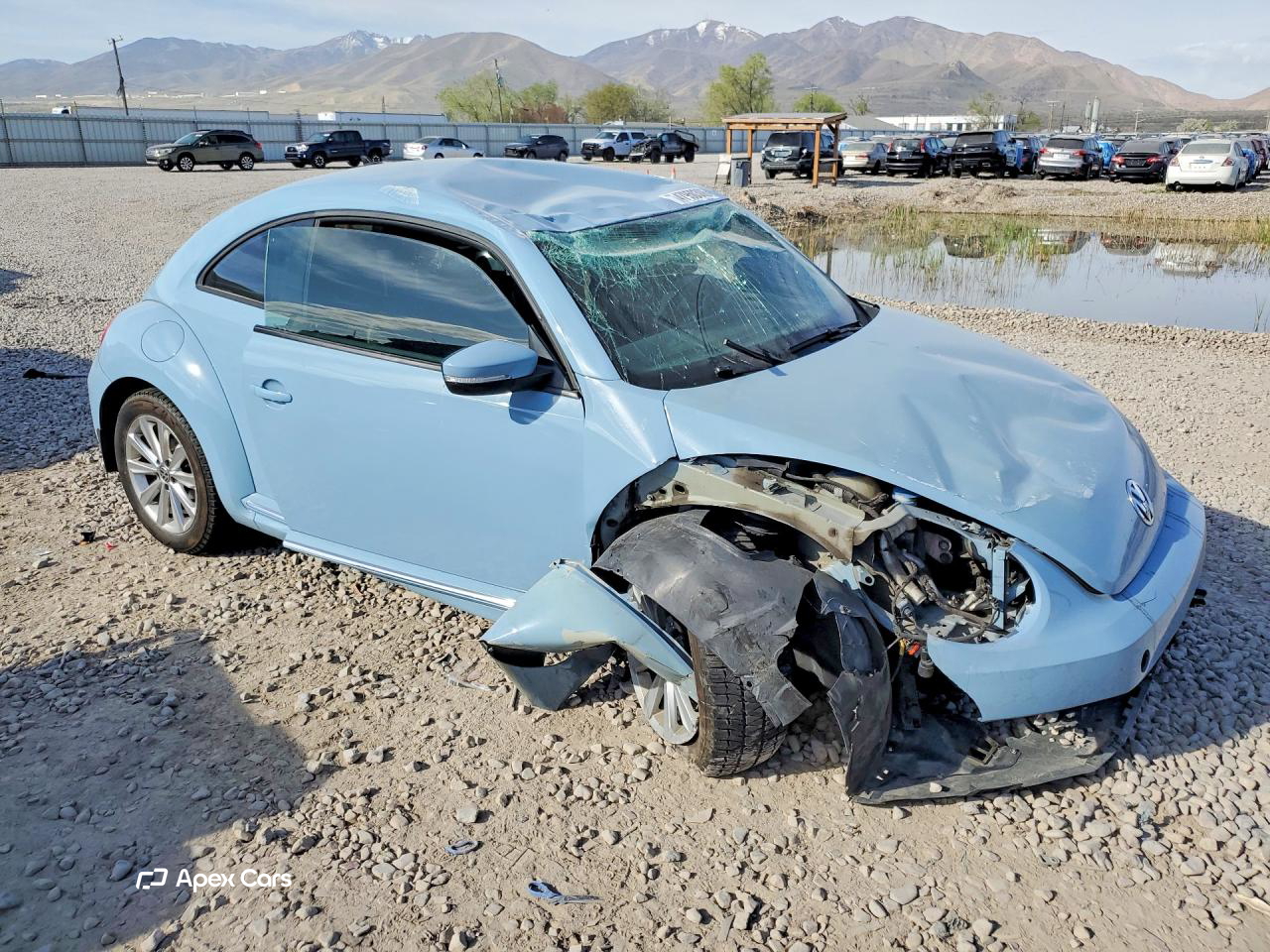 Volkswagen Beetle 2014