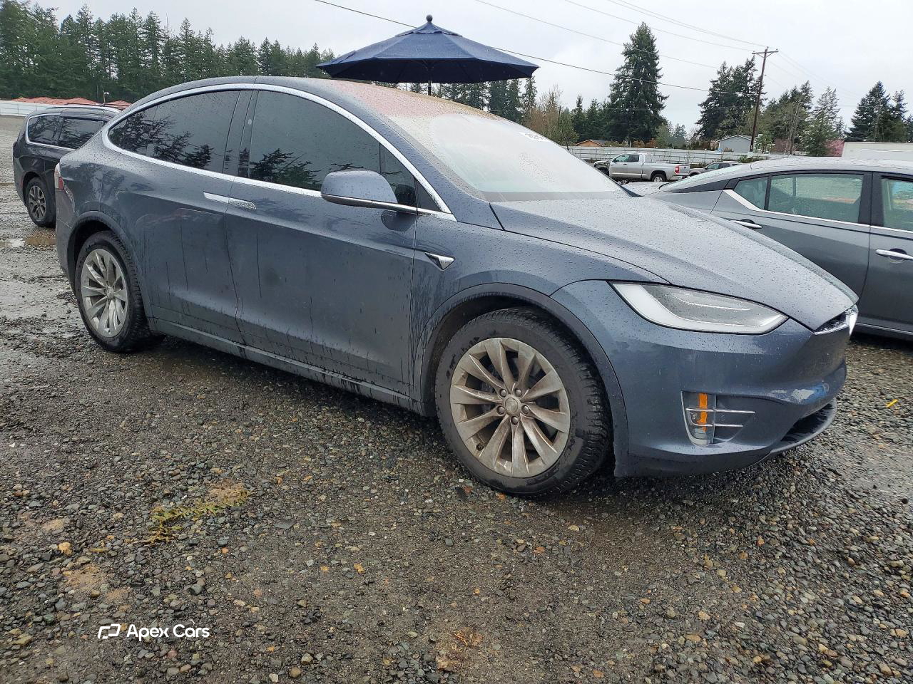 Tesla Model X 2019
