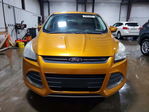 Ford Escape 2016