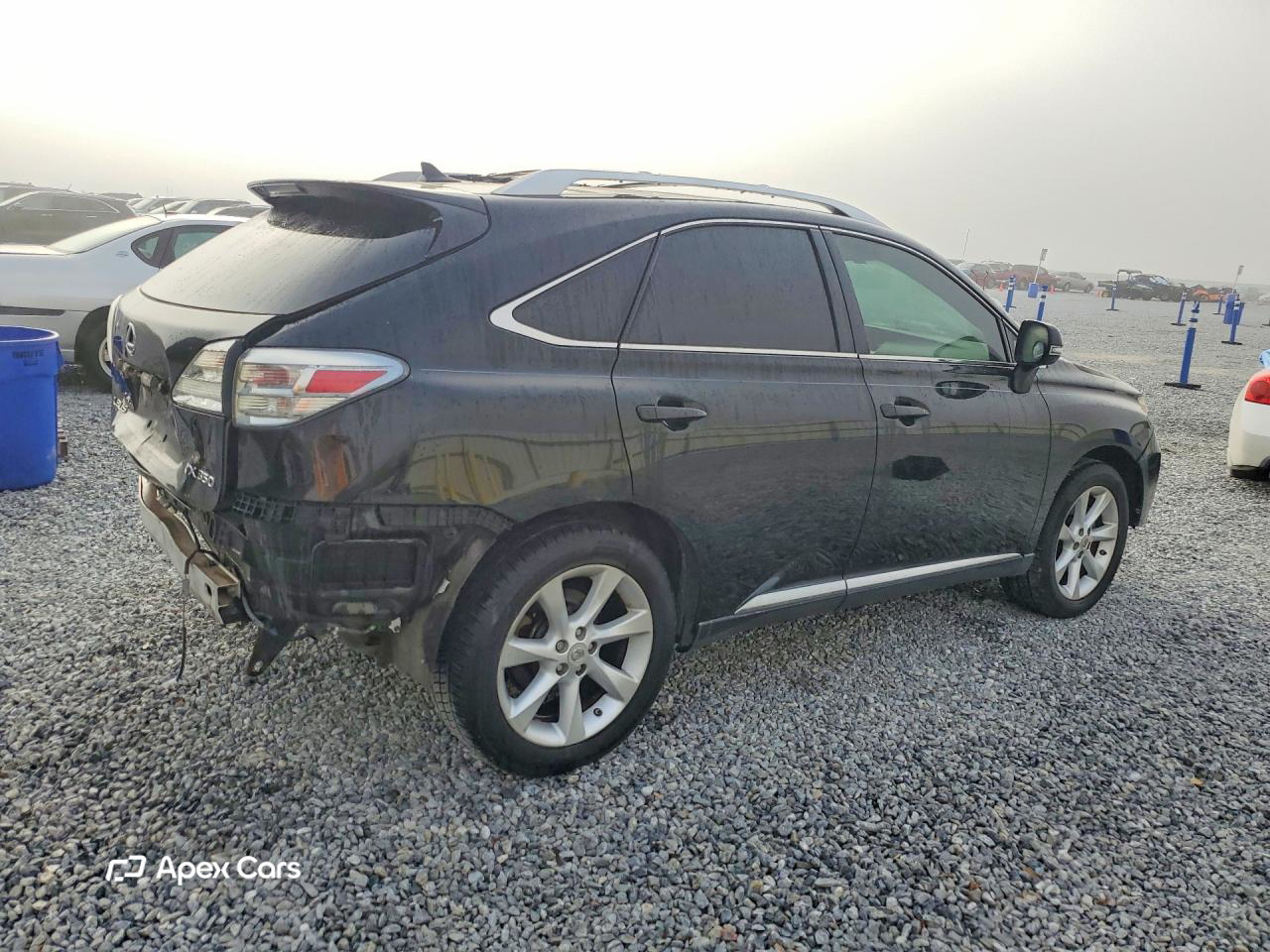 Lexus RX 2010