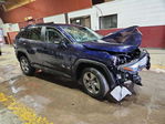 Toyota RAV 4 2024