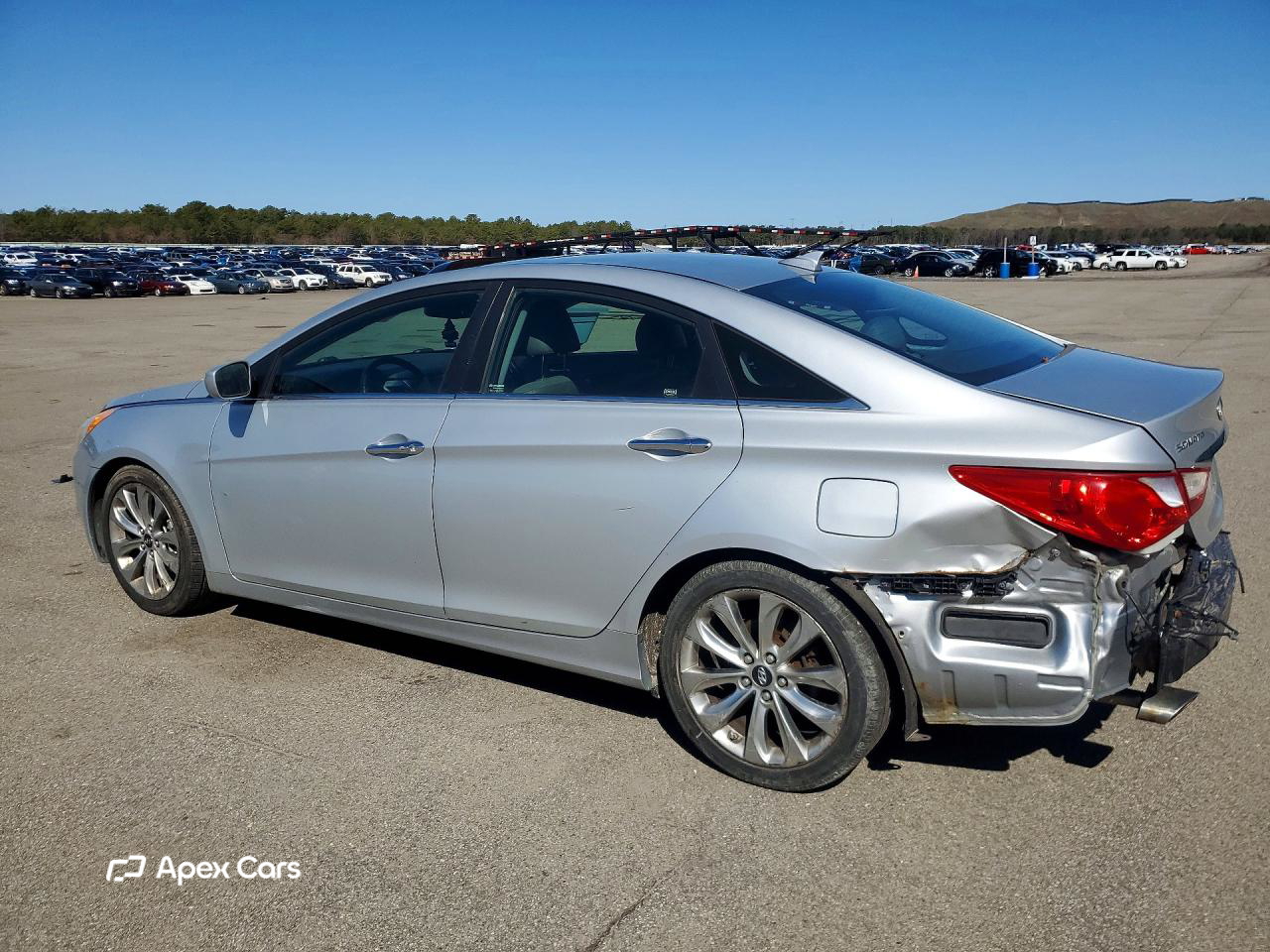 Sonata 2013