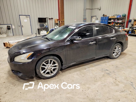 Nissan Maxima 2010 - Image 1 of 12
