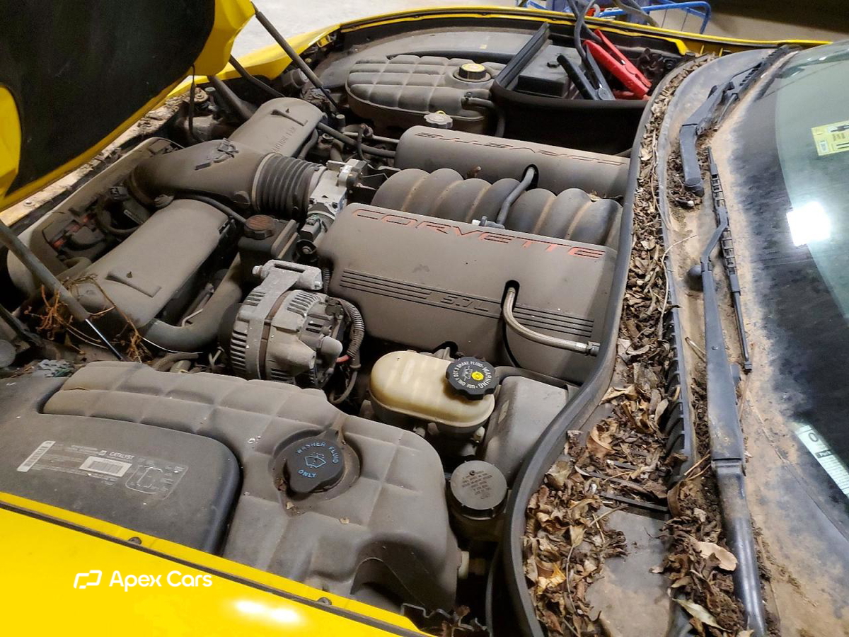 Chevrolet Corvette 2001
