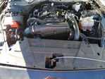 Ford Mustang 2024