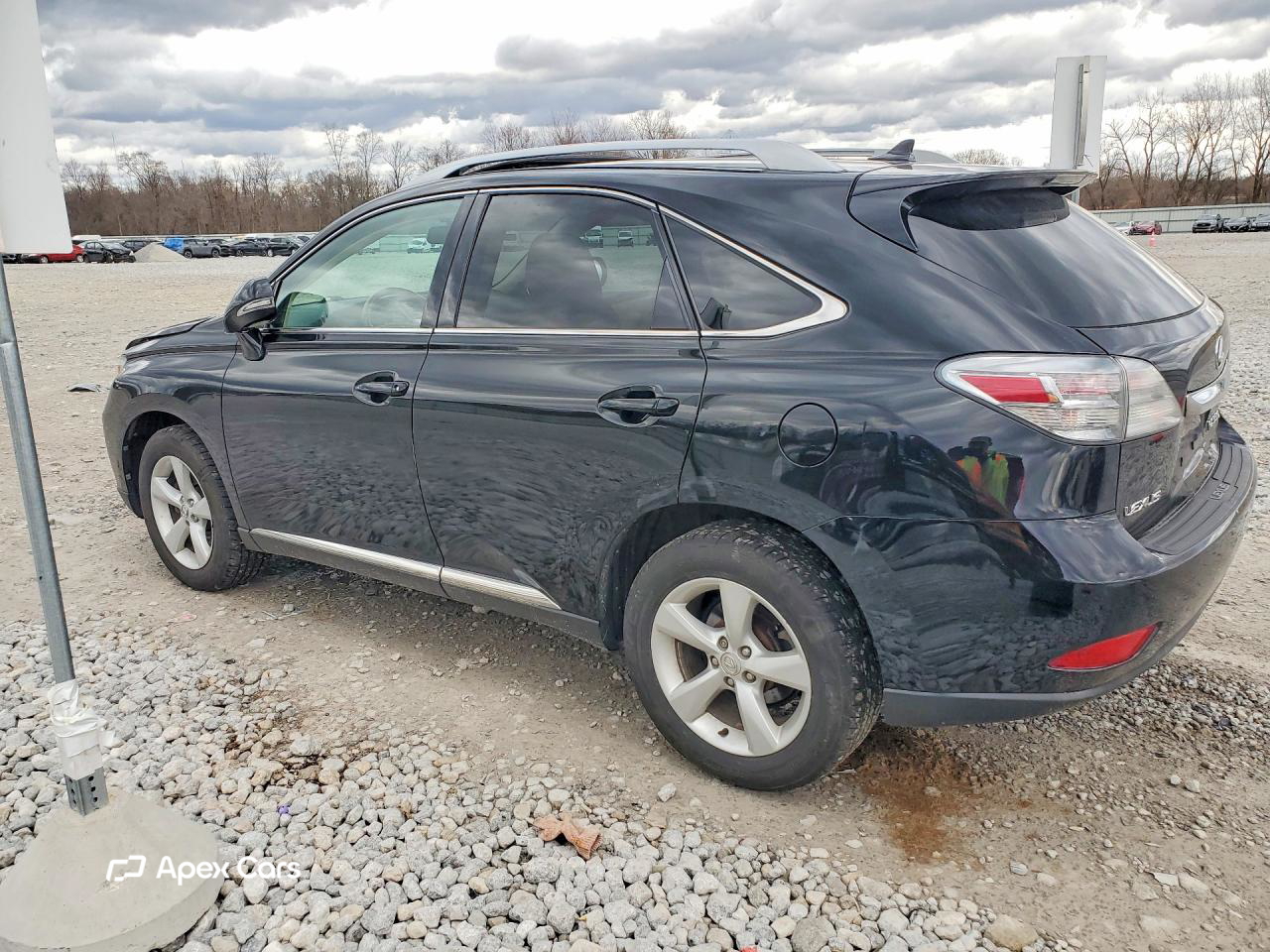 Lexus RX 2010