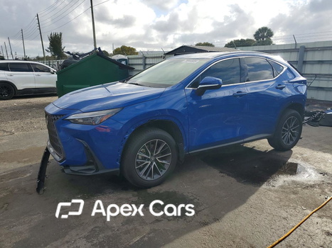 Lexus NX 2025 - Zdjęcie 1 z 12