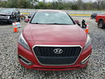 Hyundai  2016