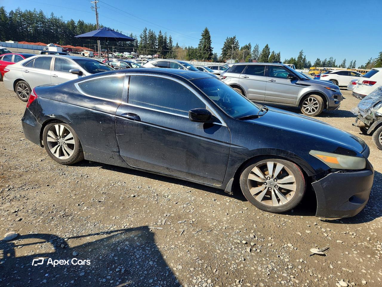 Honda Accord 2009