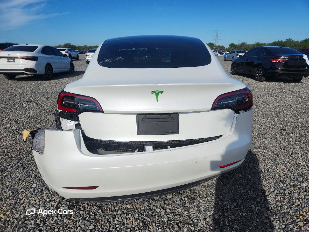 Tesla Model 3 2020