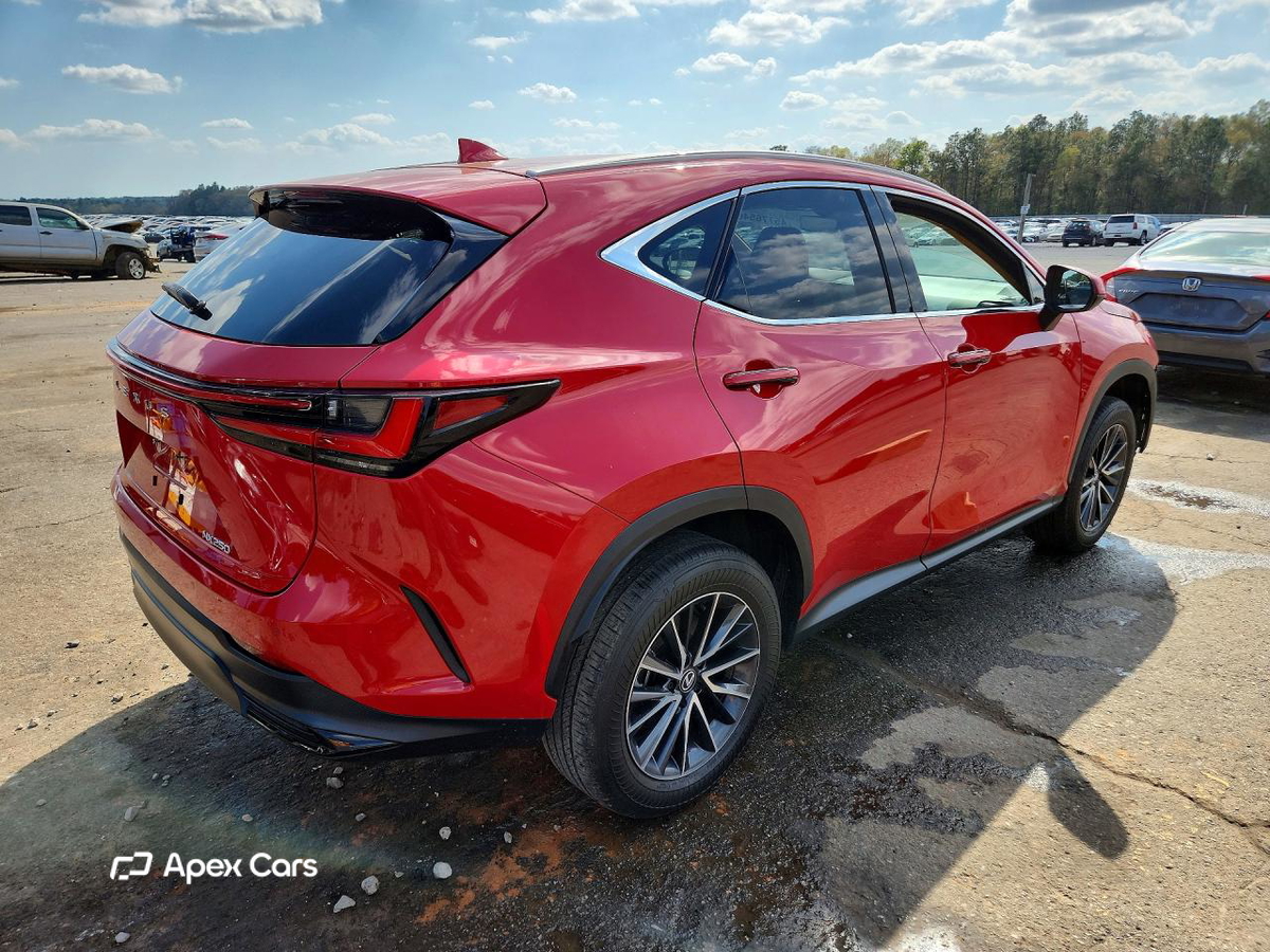 Lexus NX 2024
