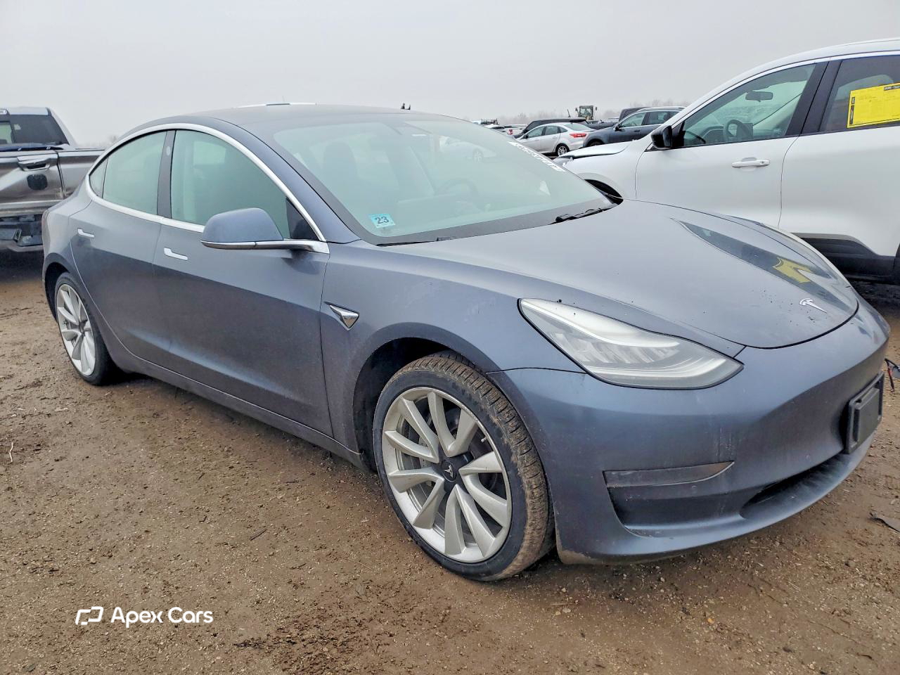 Tesla Model 3 2019