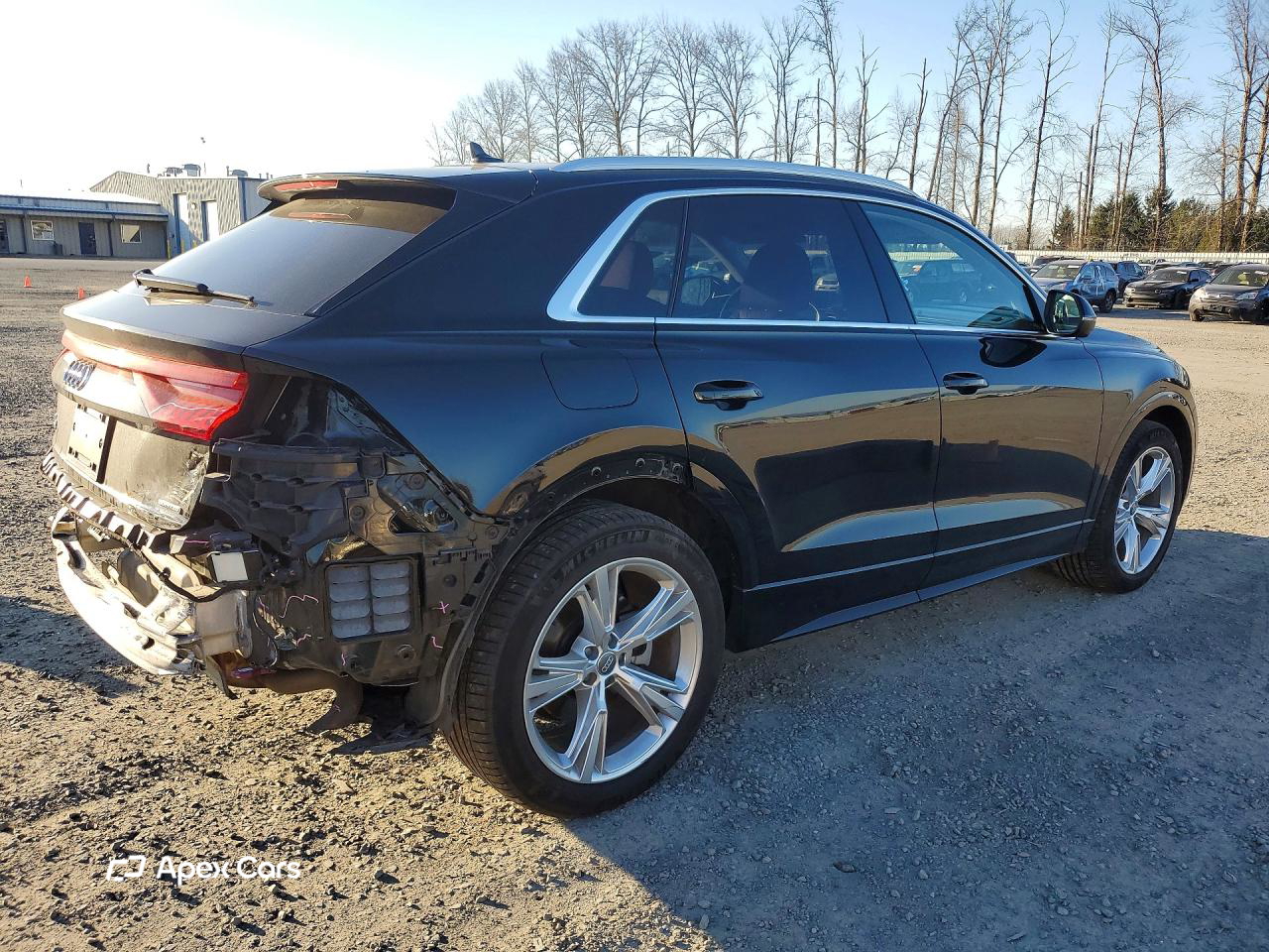 Audi Q8 2019