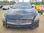 Nissan Maxima 2014