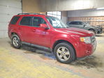 Ford Escape 2011