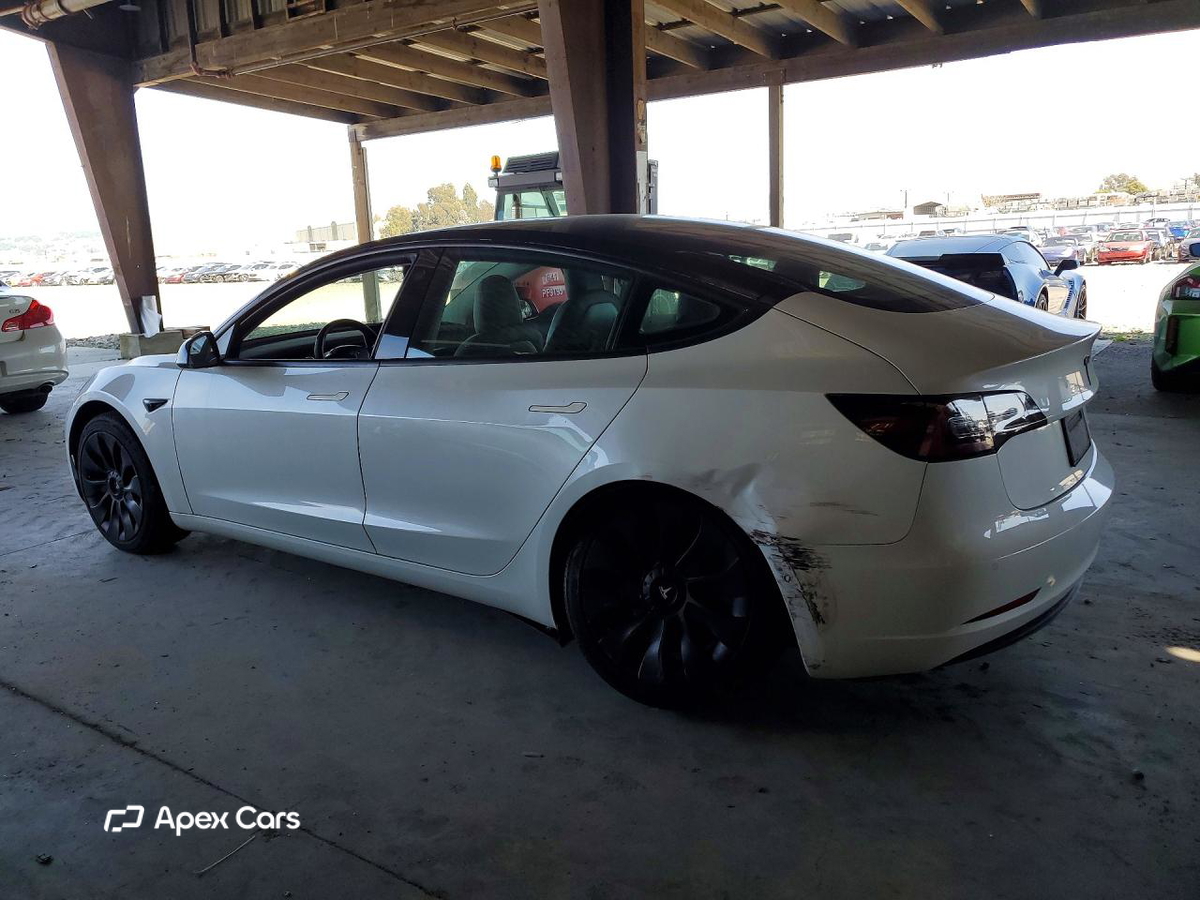 Tesla Model 3 2019