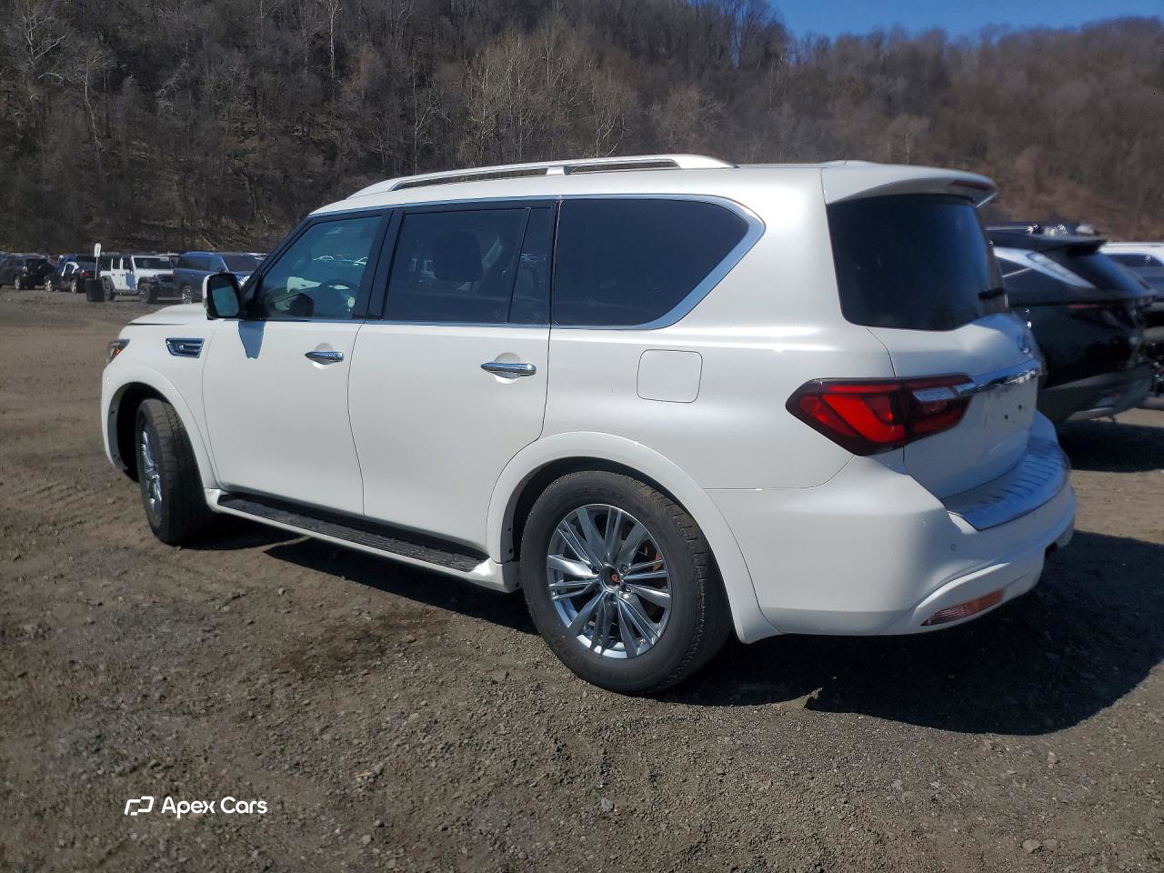 Infiniti QX80 2024