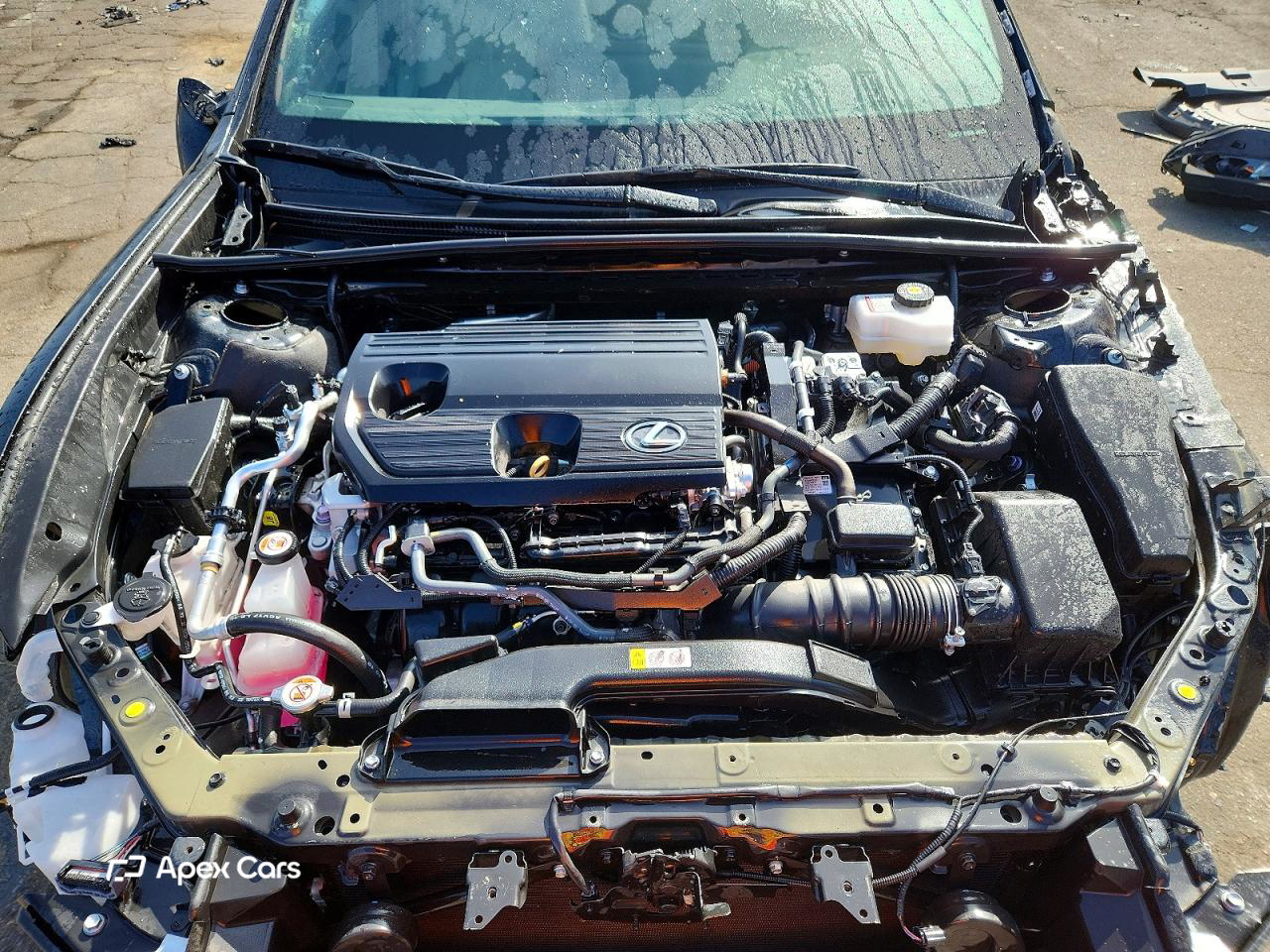 Lexus ES 2024