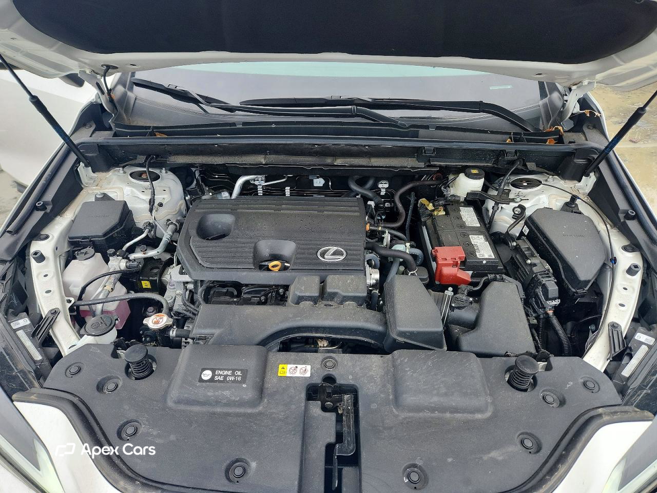 Lexus NX 2025