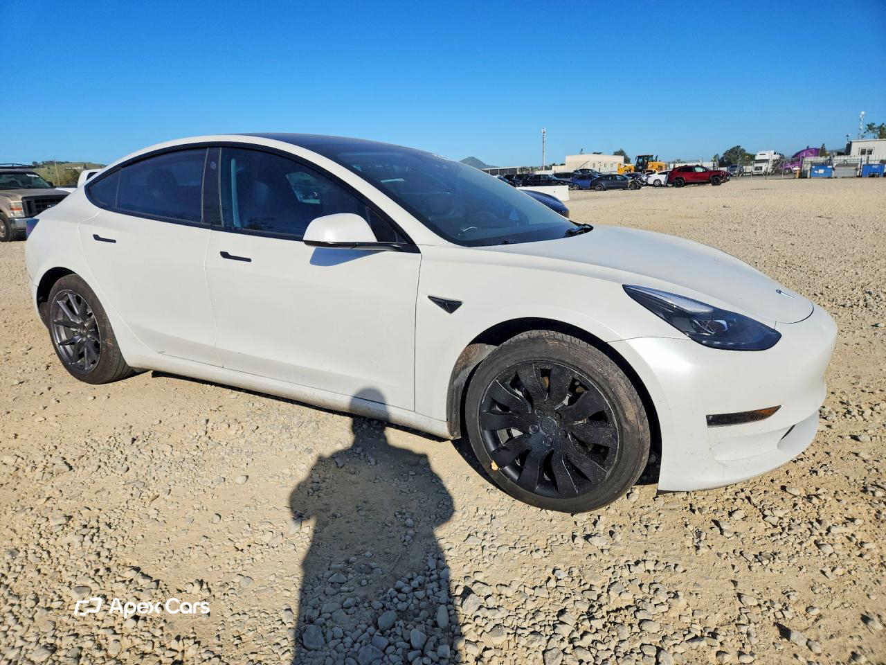Tesla Model 3 2021