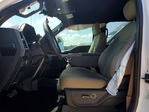 Ford F250 2019