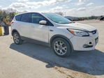 Ford Escape 2013