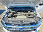 Ford Expedition 2024