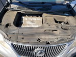Lexus RX 2010