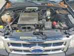 Ford Escape 2012