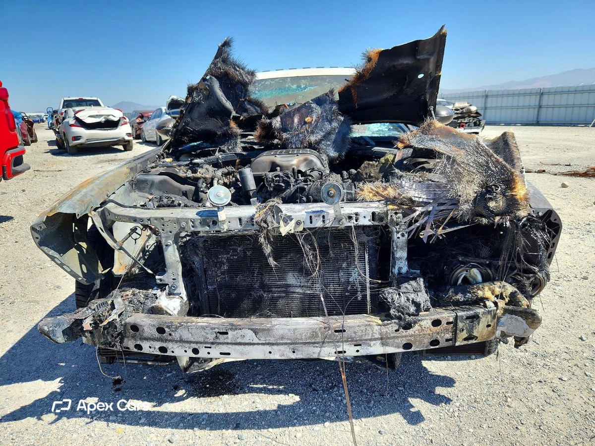 Dodge Challenger 2019