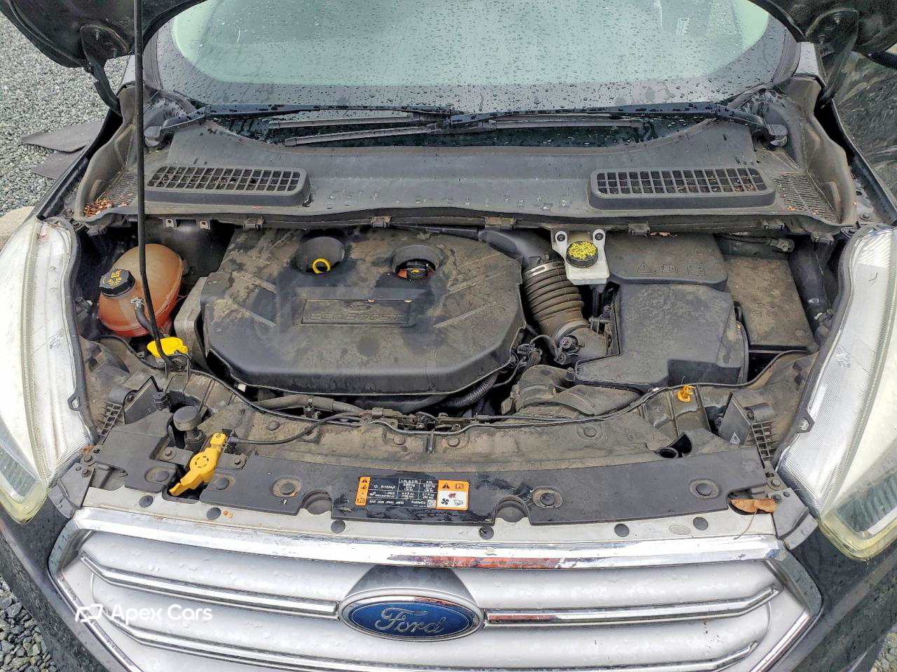 Ford Escape 2017