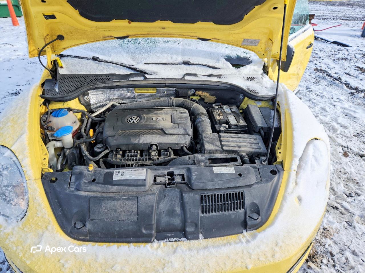 Volkswagen Beetle 2015