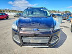 Ford Escape 2013