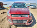 Ford Escape 2014