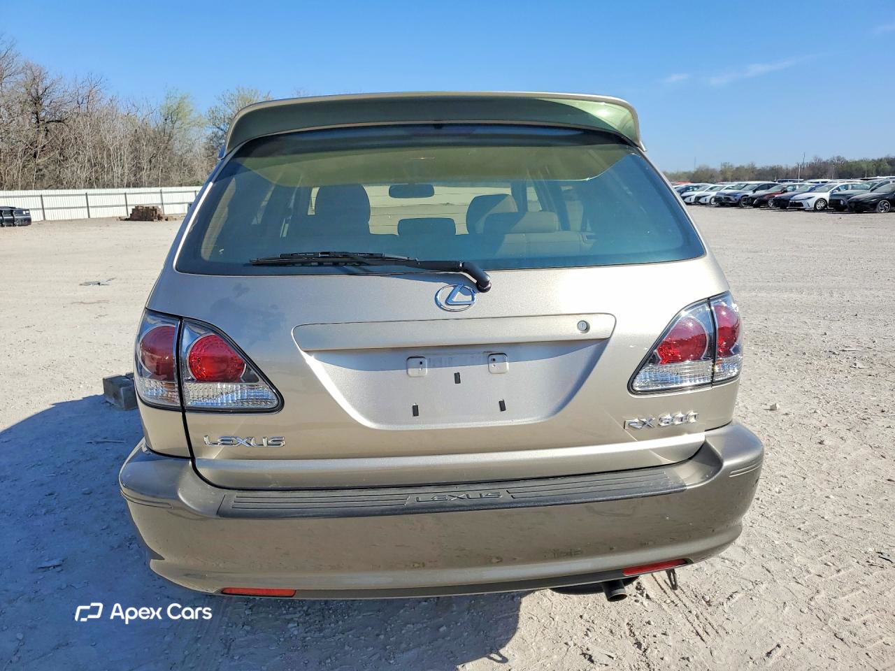 Lexus RX 2001