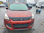 Ford Escape 2014