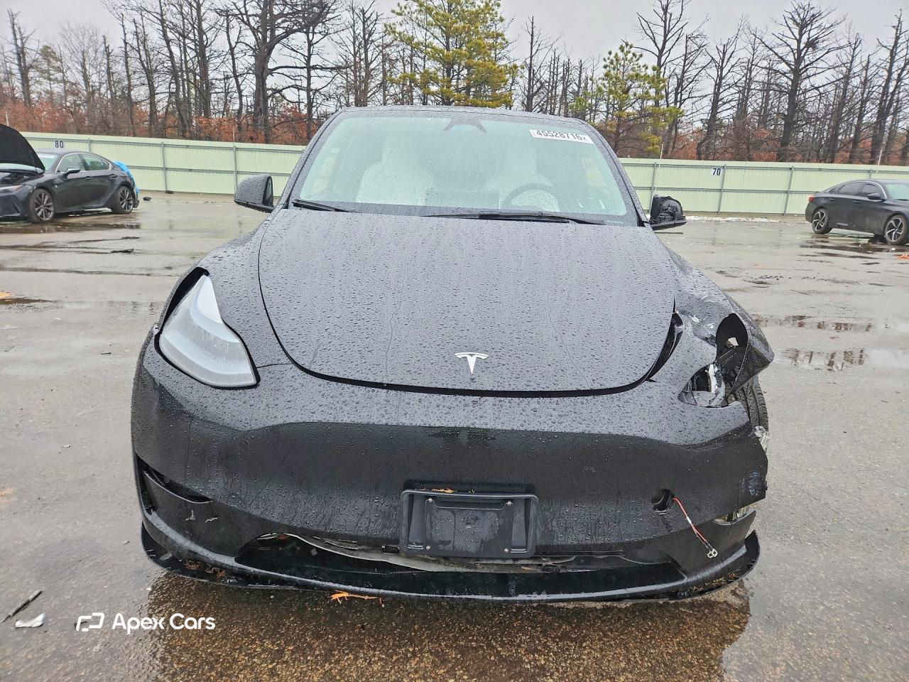 Tesla Model Y 2025