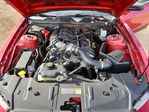 Ford Mustang 2013