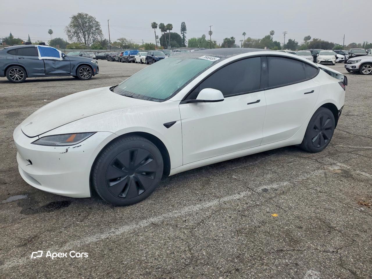 Tesla Model 3 2025