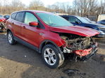 Ford Escape 2016