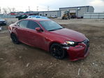 Lexus IS 2014