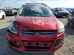Ford Escape 2013
