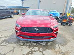 Ford Mustang 2019