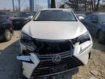 Lexus NX 2020