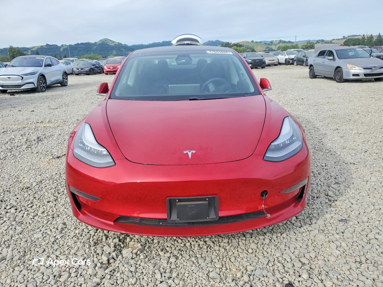 Tesla Model 3 2020