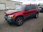 Ford Escape 2006