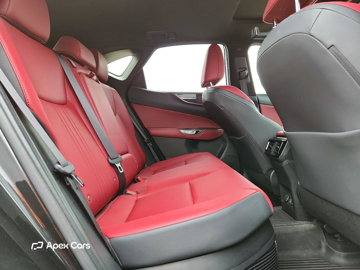 Lexus NX 2024