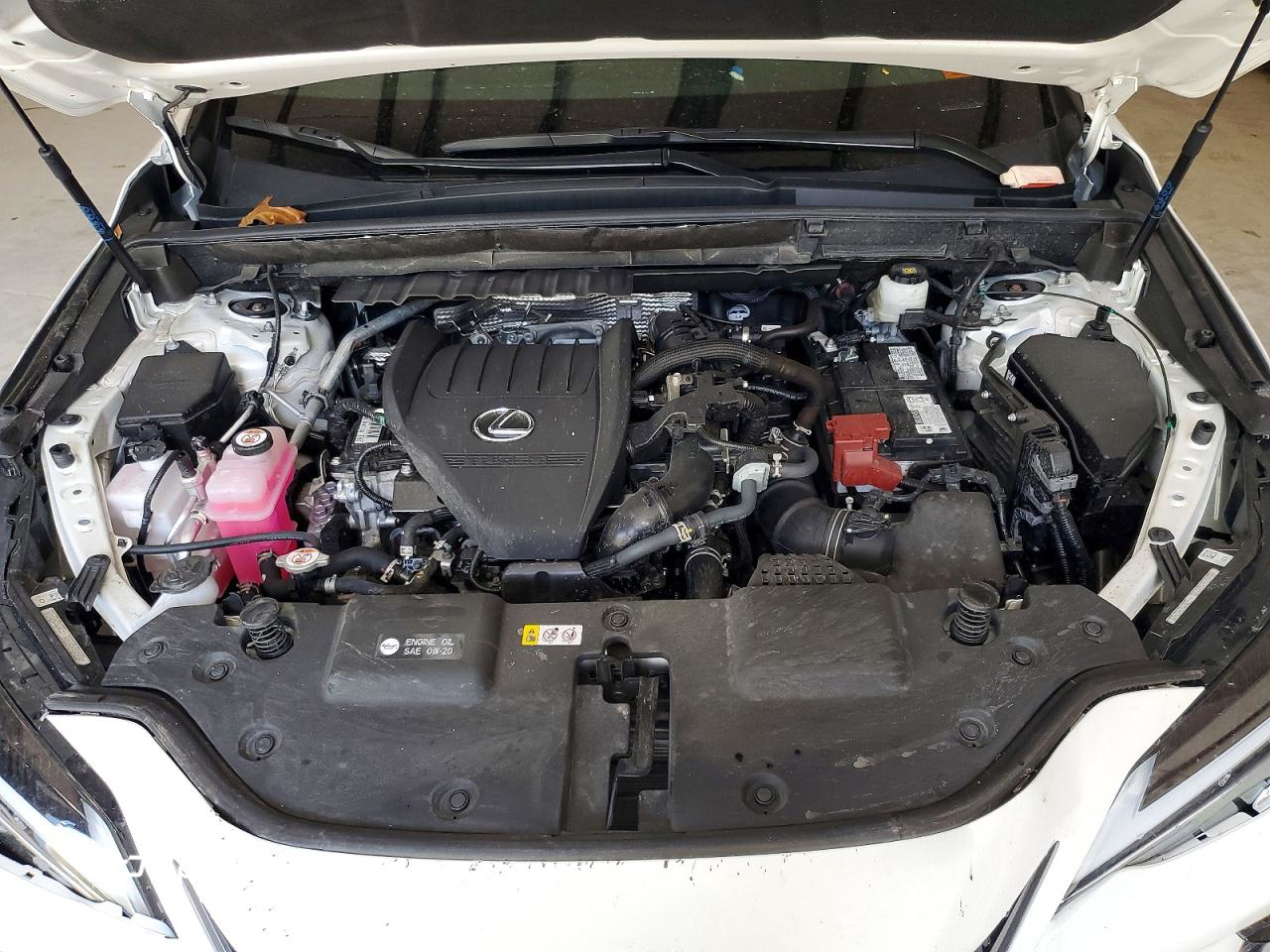Lexus NX 2025
