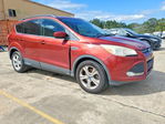 Ford Escape 2015